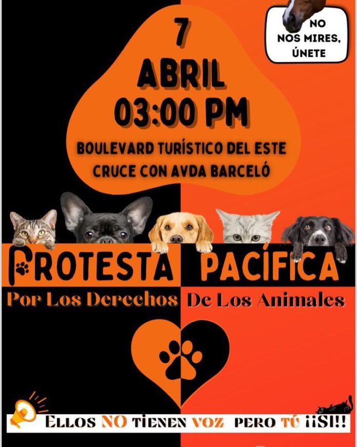 Protesta Pacífica Por Los Derechos De Los Animales Se Realizará Hoy A 