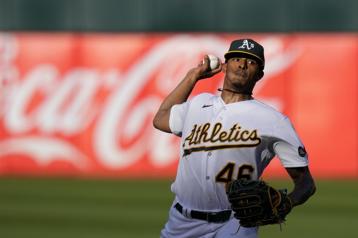 Los Toros del Este se preparan para el regreso de Luis Medina; entérese de  otras notas deportivas - Bávaro News, image size:1200x800