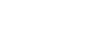 BavaroNews